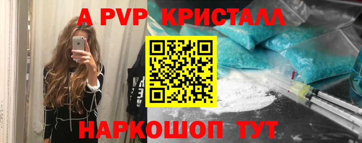 Альфа ПВП СК КРИС Гулькевичи
