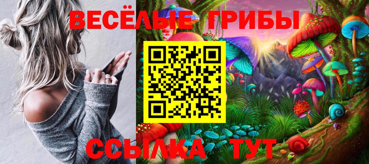 Гулькевичи  Псилоцибиновые грибы GOLDEN TEACHER  Вход с VPN 